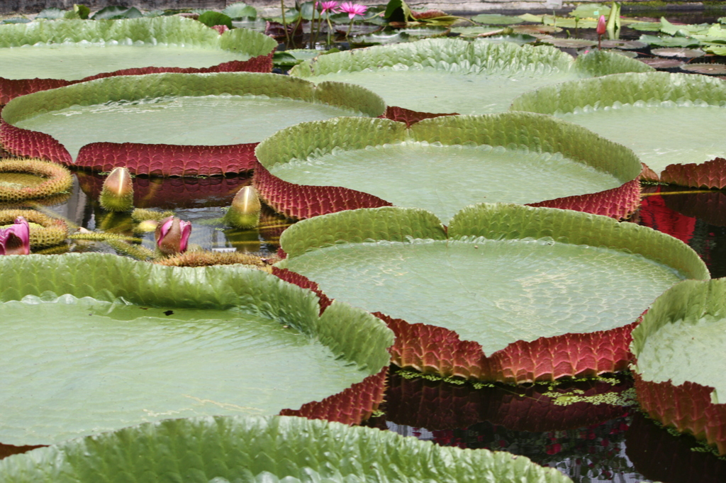 きっと受け止めてくれる人がいる