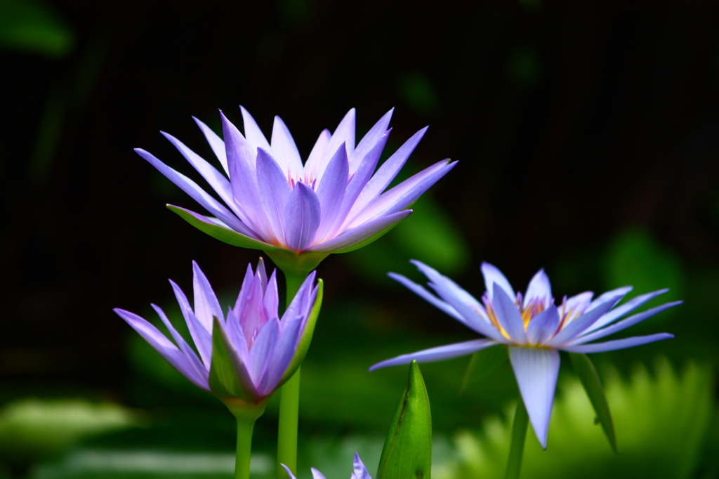 う　け　て　た　と　う