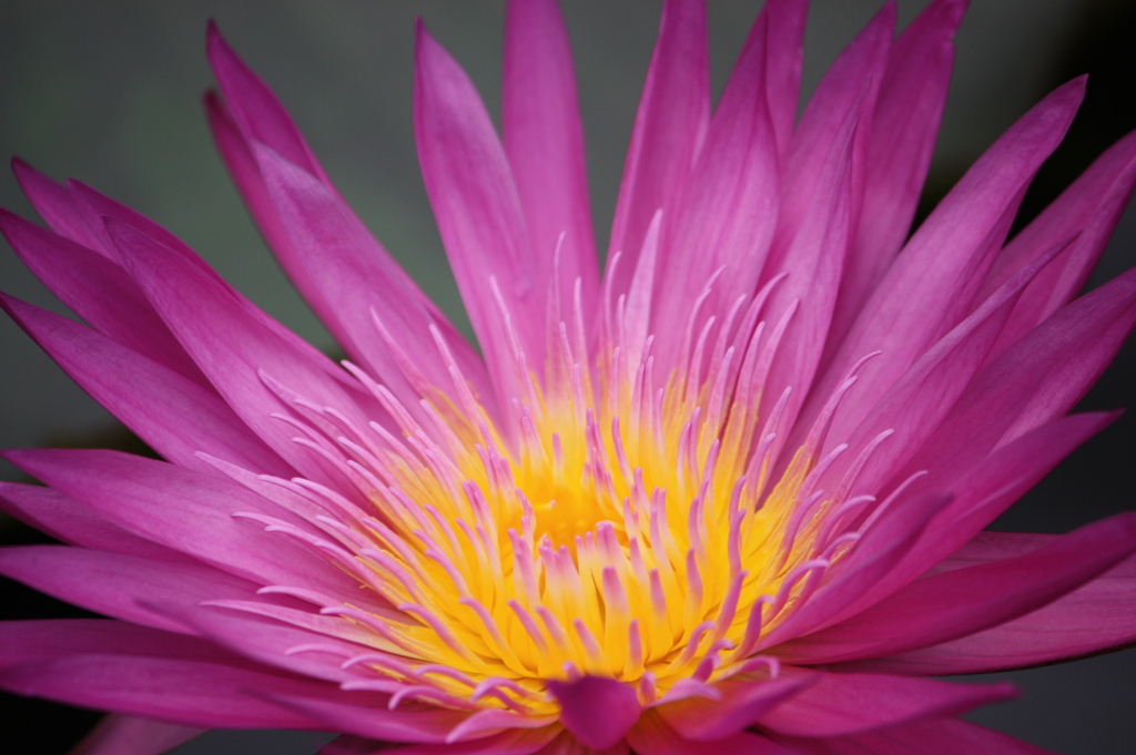 こ　こ　ろ　や　わ　ら　か　に