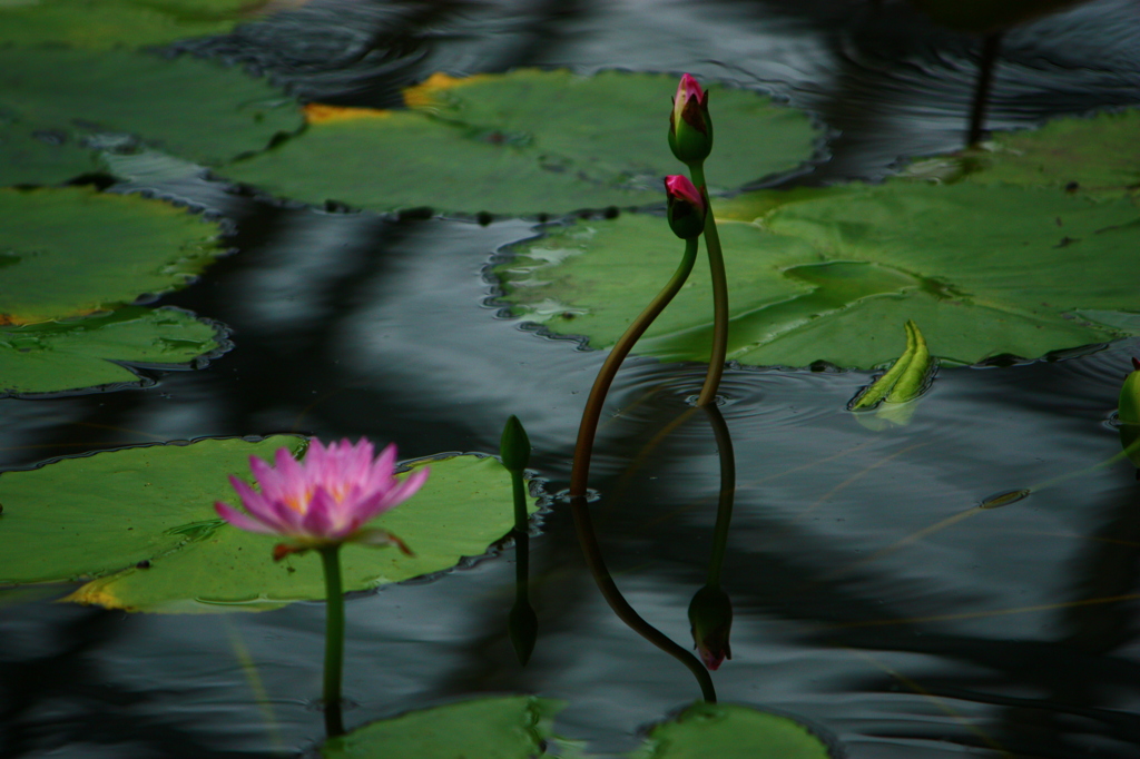 One in body and mind