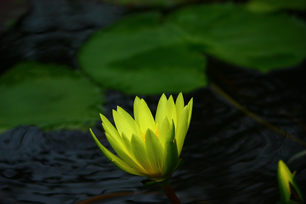 み　ち　し　る　べ