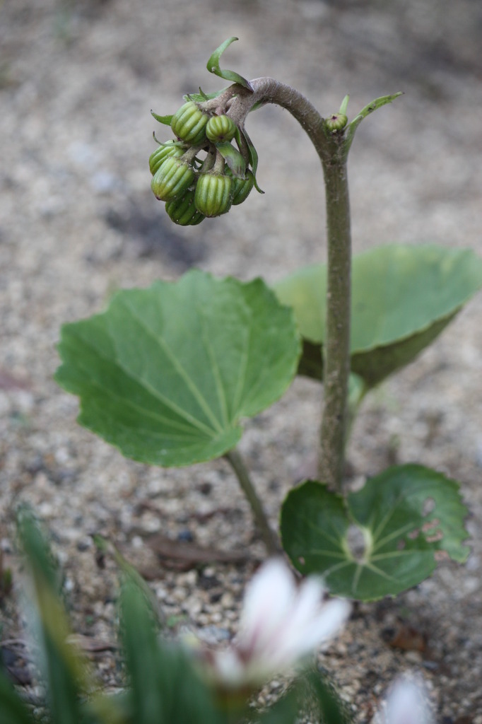 一人じゃないよ