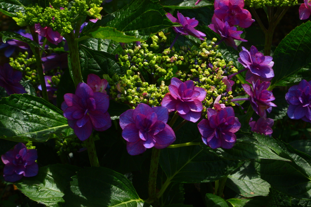 一人ひとりが主役です