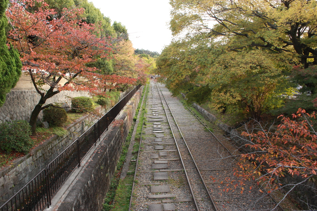 私はレールのそばを歩こう＾＾