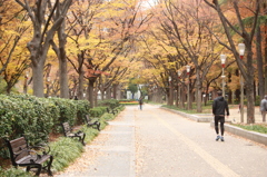 憩いの場所～靭公園