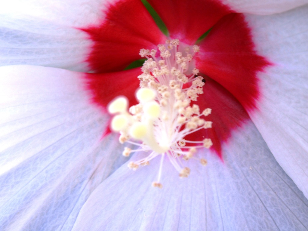 蜷川実花風