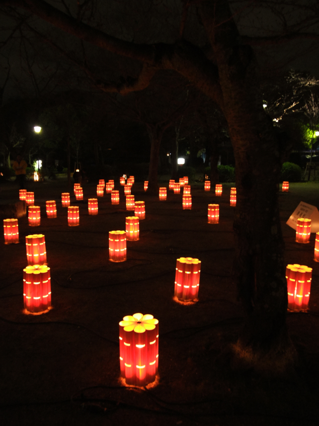 花行灯の野