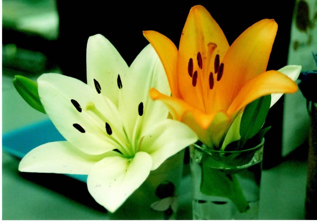 仕事場の花