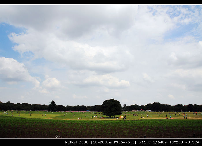 DSC_6588