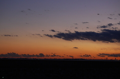 011FA3665E953481FF8080811F9FA7E2