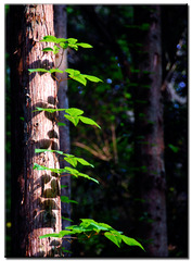 20090512_bf43d4dab322c8710896UX9iuccBpjq