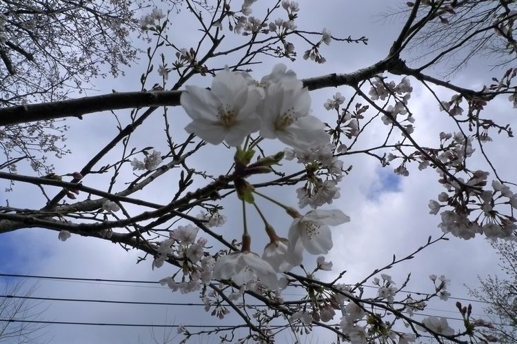 P1040034