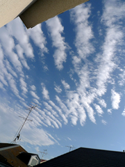P1010660