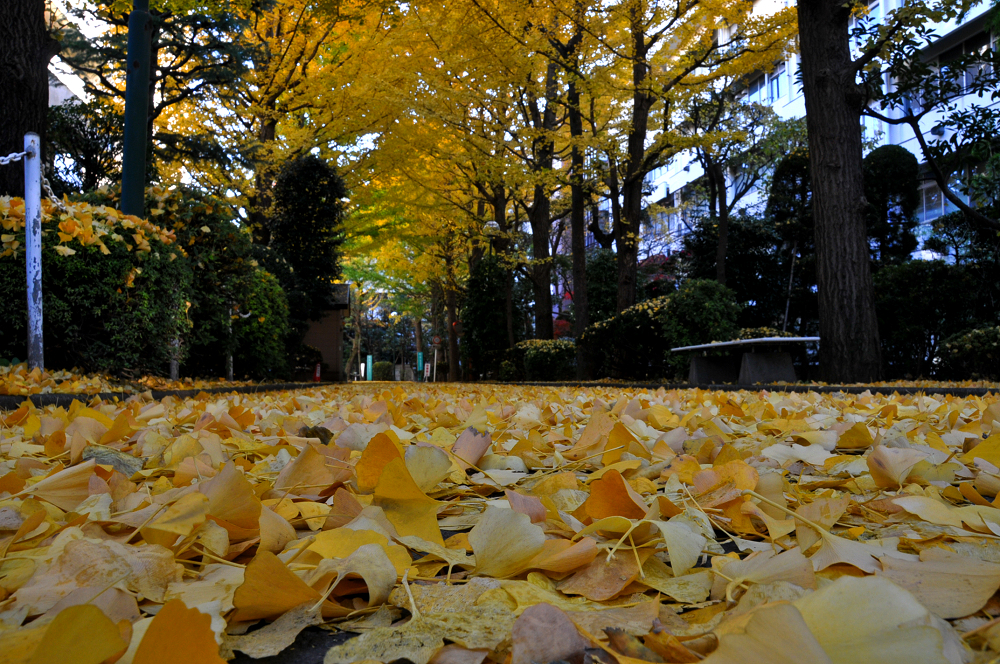 DSC_7924-2
