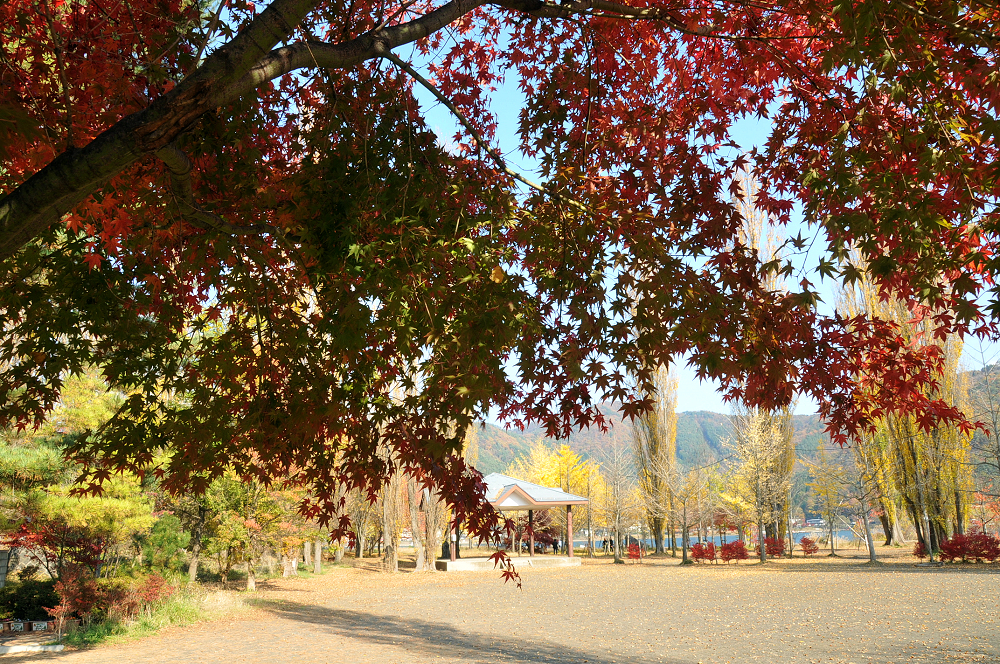 山中湖周辺公園