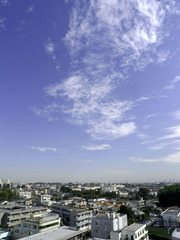 P1010131no1