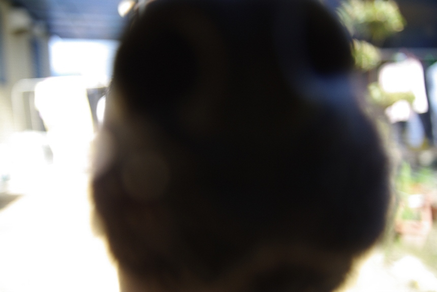 IMGP0507