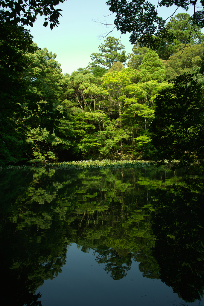 伊勢神宮にて