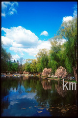 月寒公園の春