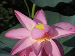 DSCN0395b