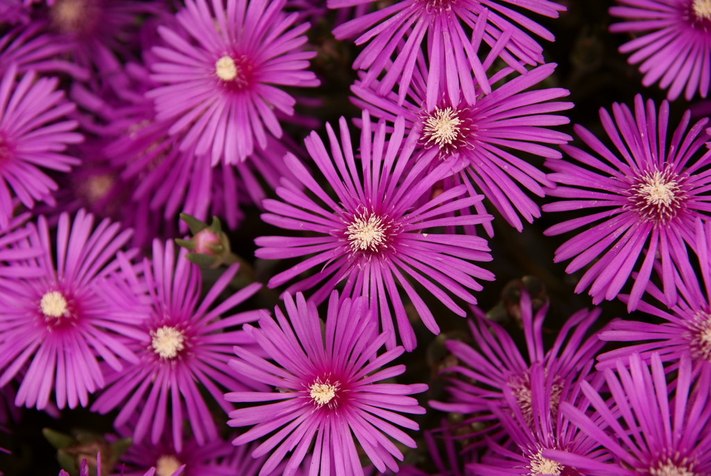 DSC00598b