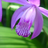 P1010208