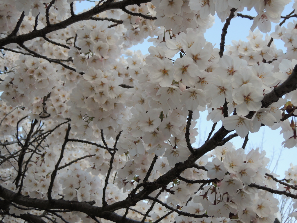 DSCN0412