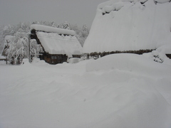 合掌村が雪の中