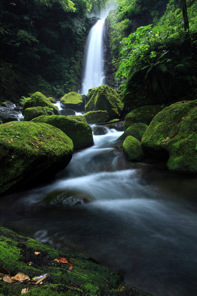 白糸の滝