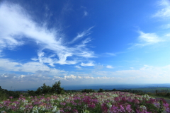 産山村の青空