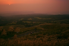 晩秋のススキ野