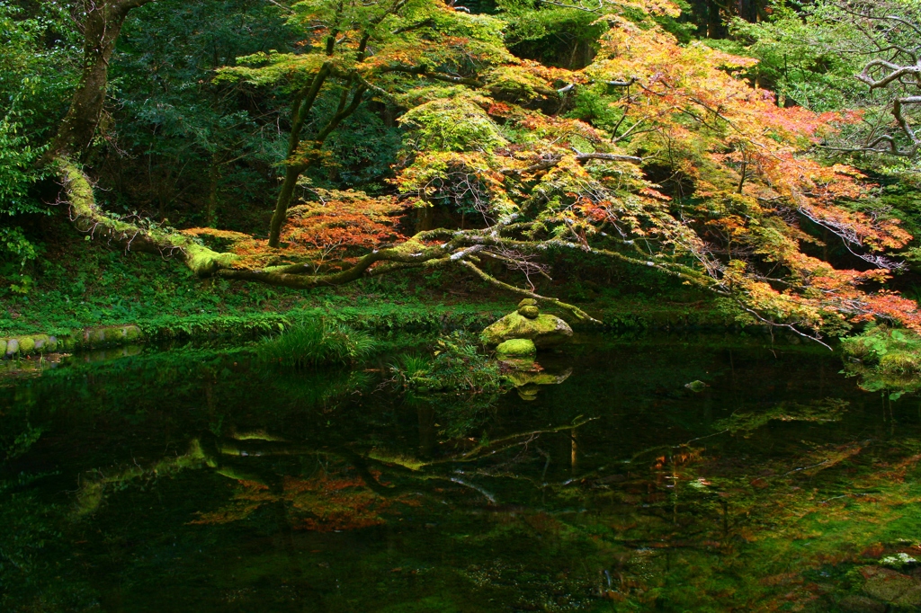 山吹水源①