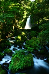 熊本西原村「白糸の滝」