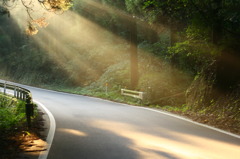 立ち止りました。