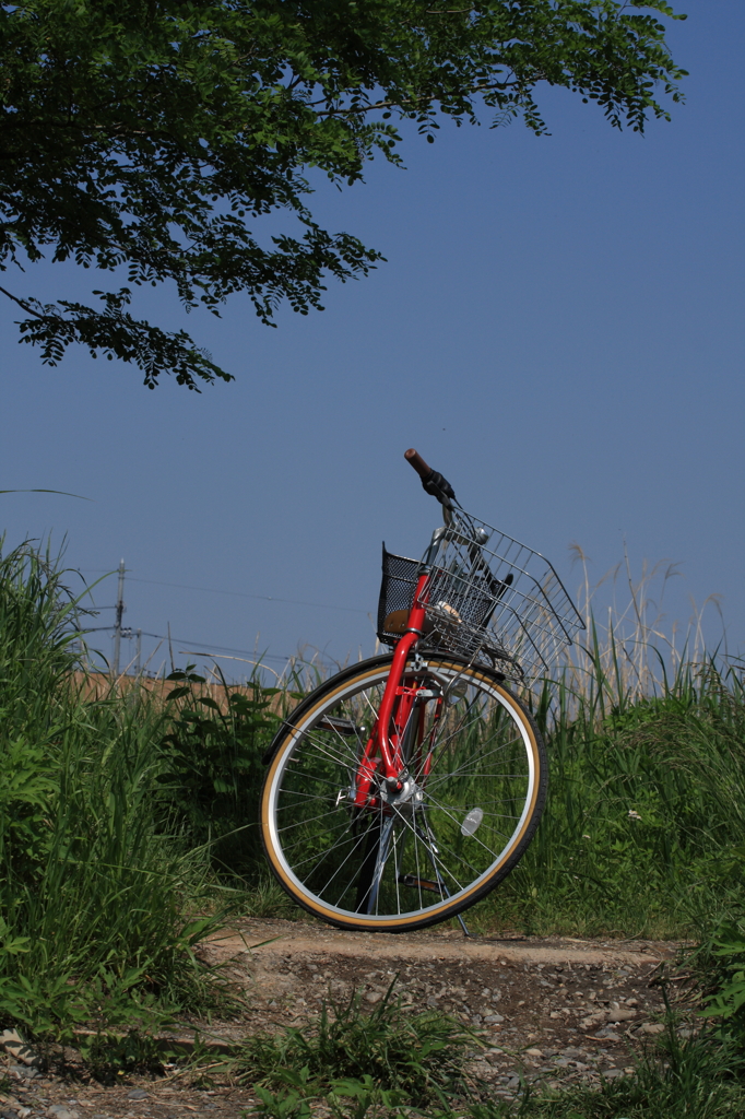 真っ赤な自転車