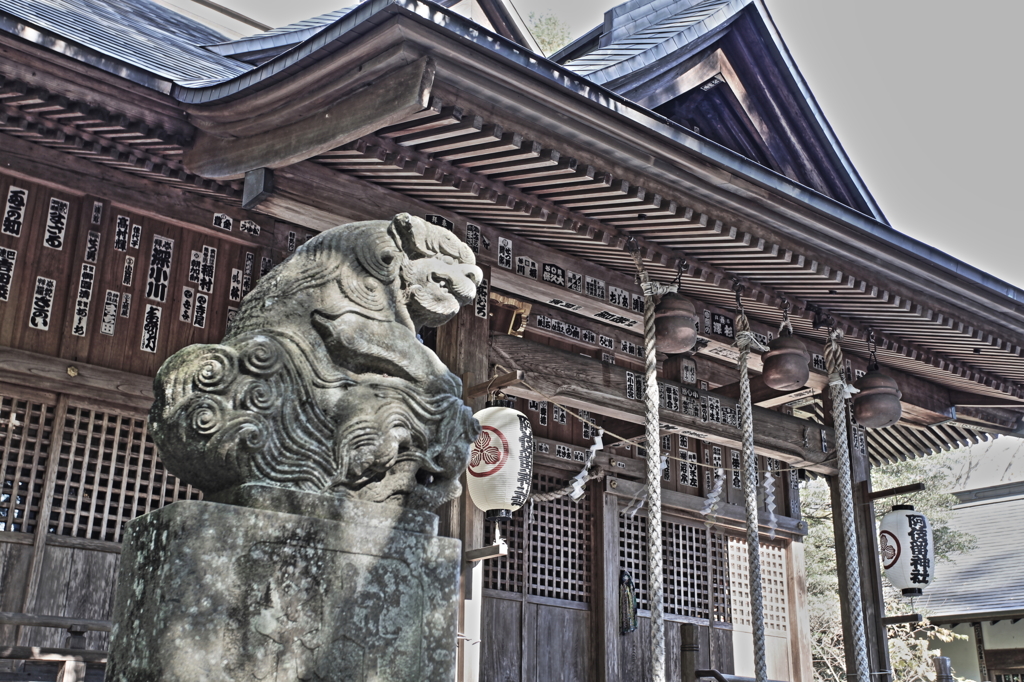 阿伎留神社の狛犬
