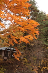 吹割の滝の紅葉