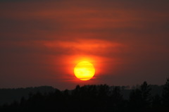 夕陽