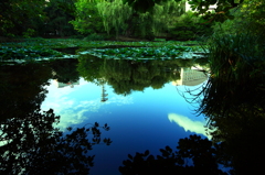 REFLECTING POND