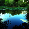 REFLECTING POND