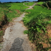棚田散歩道