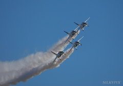 2009　入間航空祭　ダーティーターン