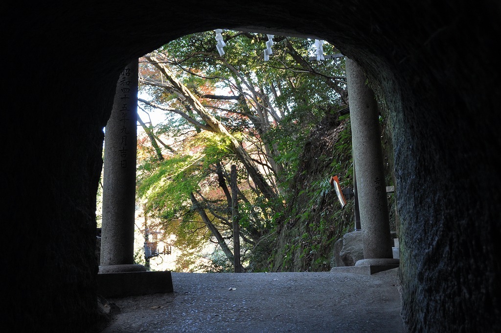 DSC_0321