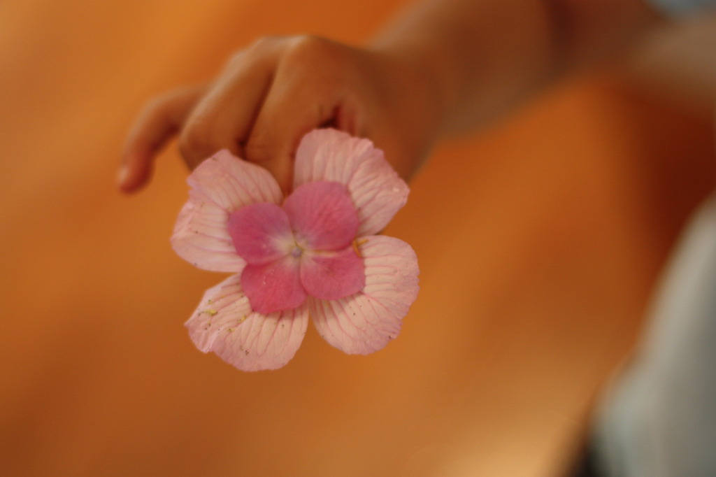 造花