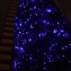 クリスマスツリー