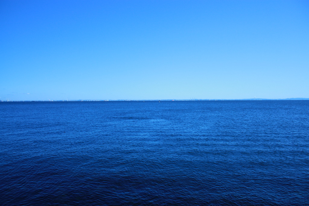 海