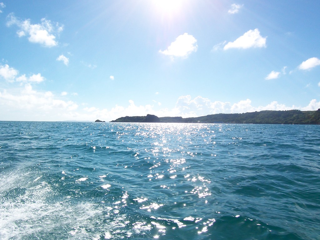 夏の海