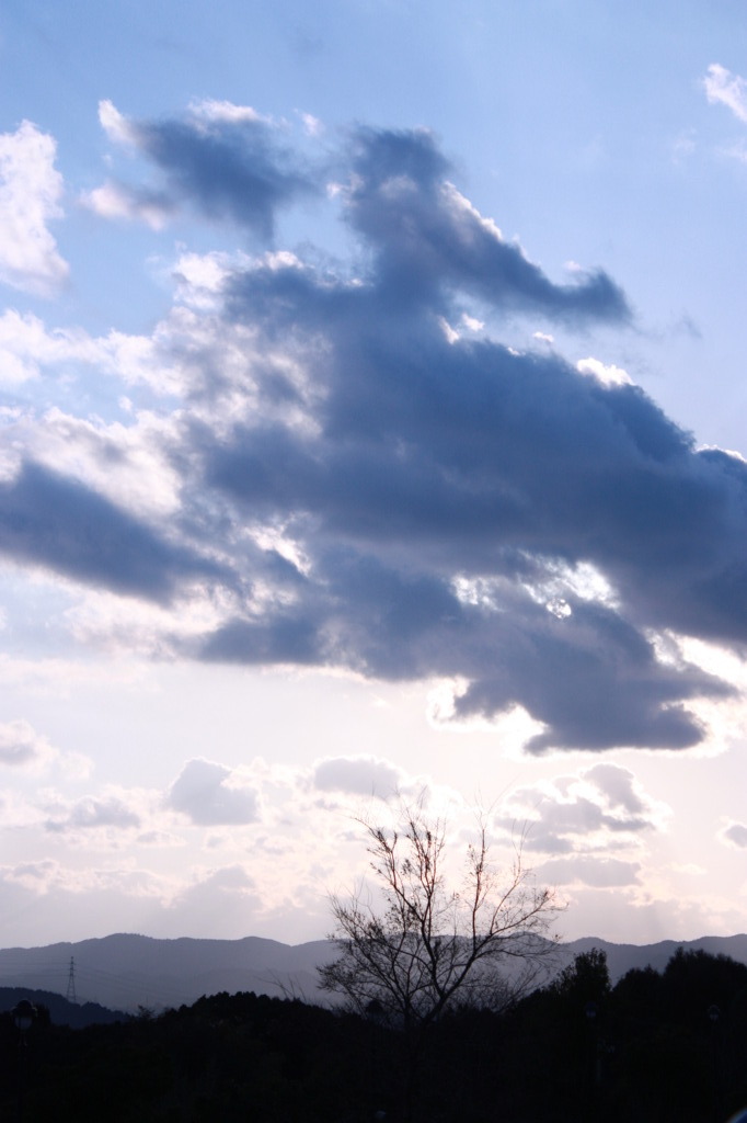 冬の空