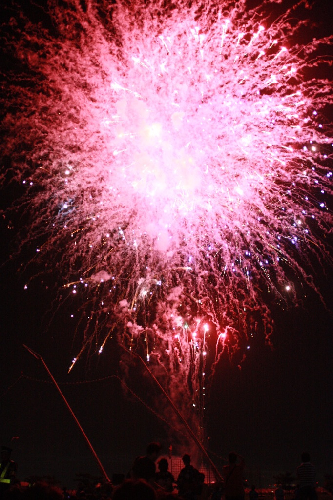 花火 2011