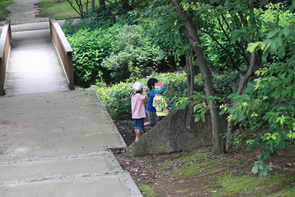 夏休み